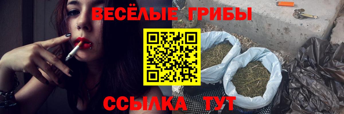 Псилоцибиновые грибы прущие грибы  Вход с VPN  Тосно 